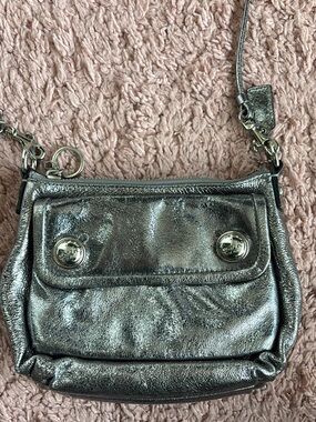 Coach Metallic Pewter Crossbody Bag